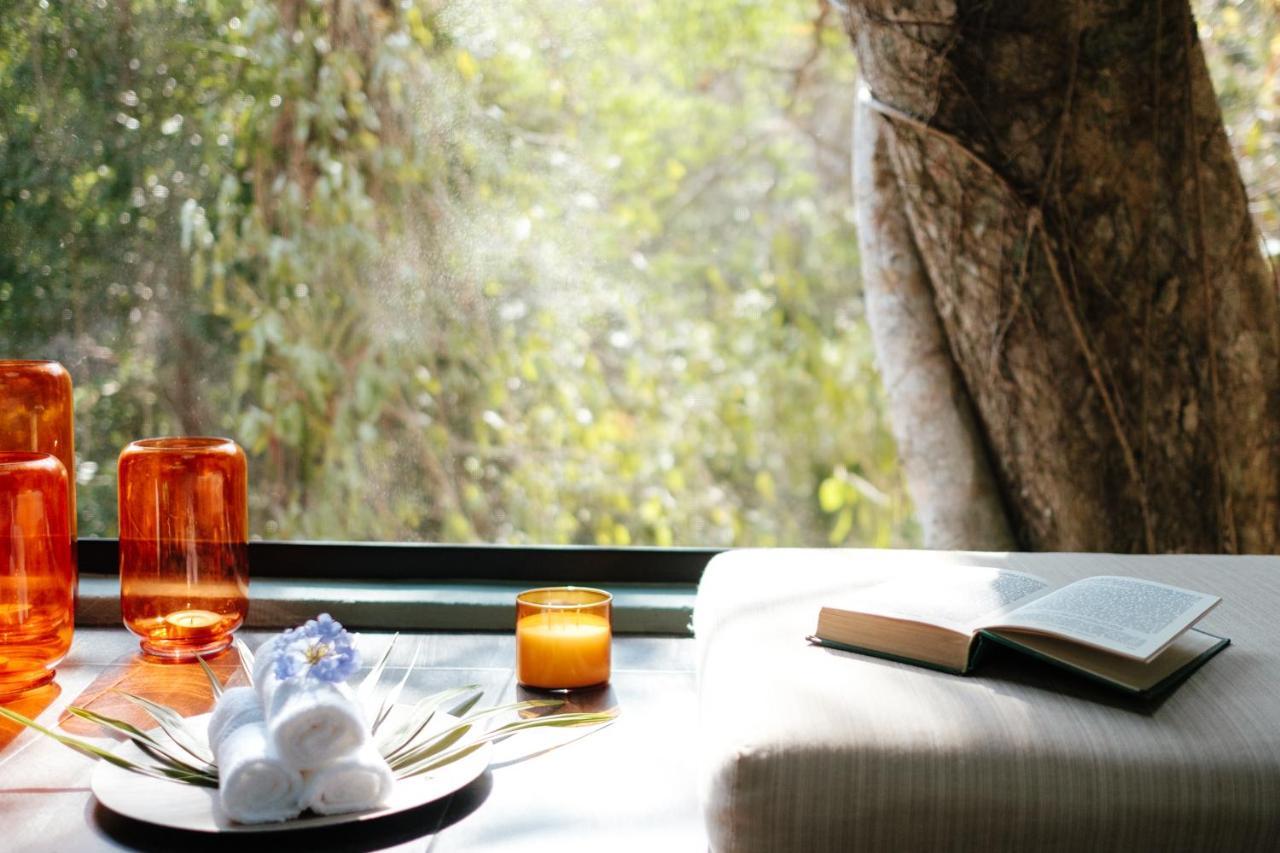 Equilibrium Healing Resort Cabo Corrientes Luaran gambar