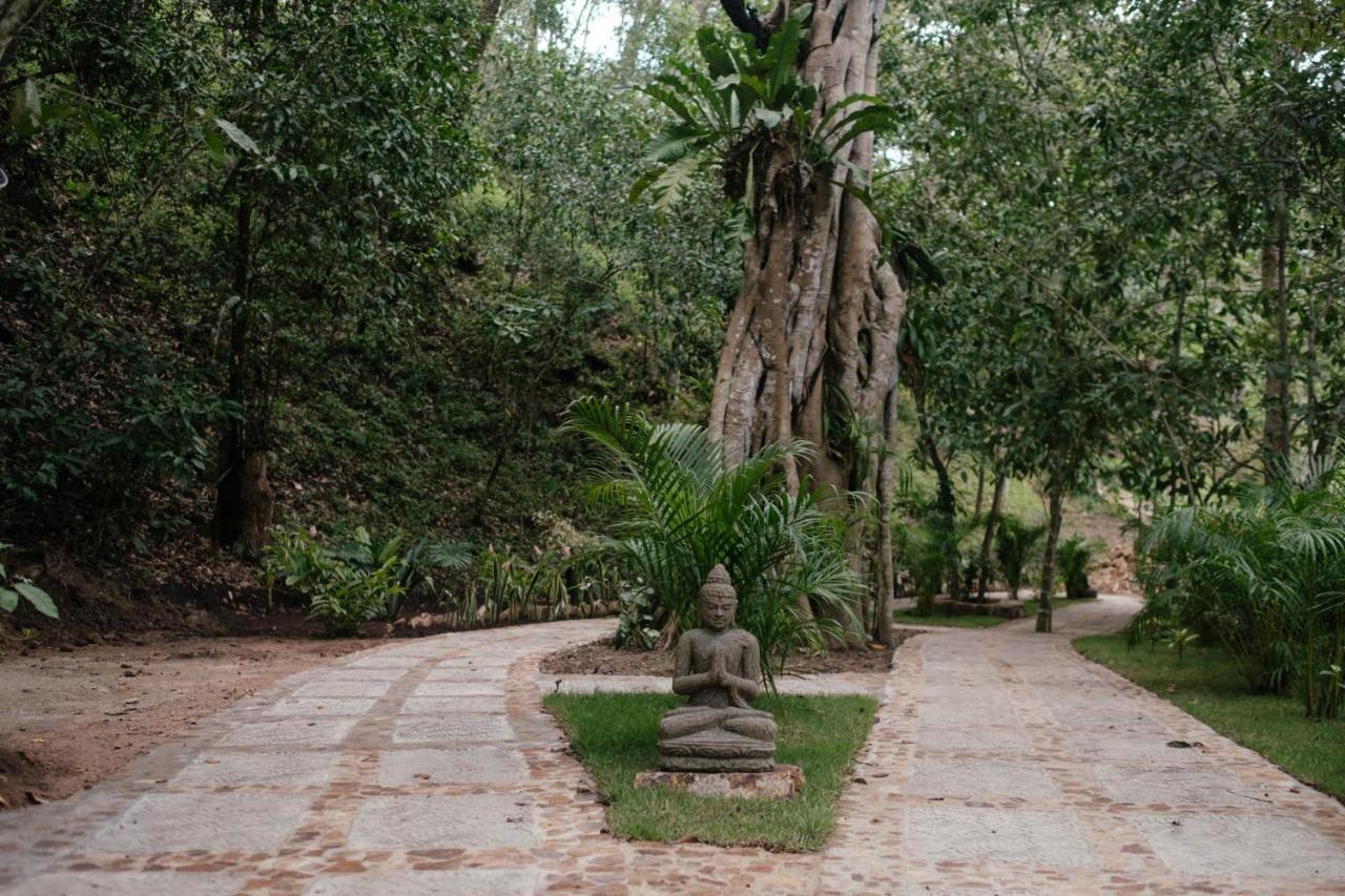 Equilibrium Healing Resort Cabo Corrientes Luaran gambar